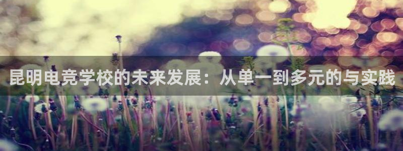 小艾电竞最厉害三个平台：昆明电竞学校的未来发展：从单一到多元的与实践