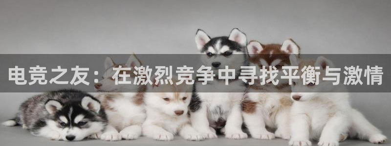 小艾电竞最厉害三个平台：电竞之友：在激烈竞争中寻找平衡与激情