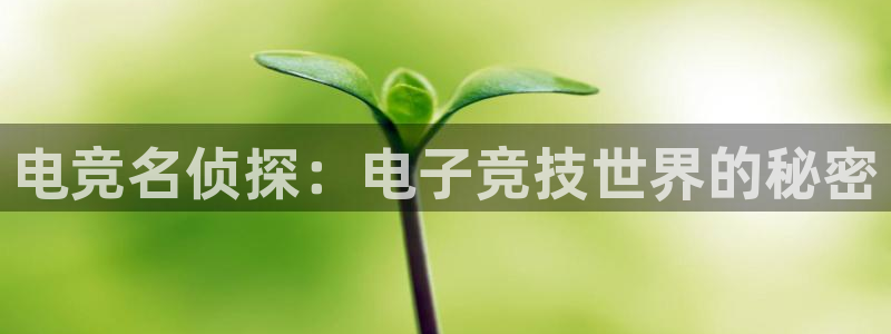 小艾电竞网页版登录：电竞名侦探：电子竞技世界的秘密