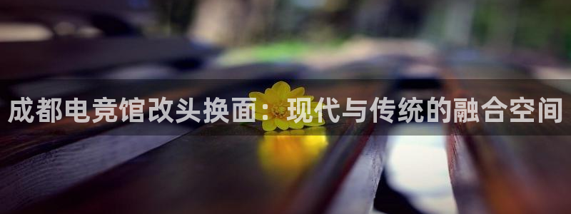 小艾电竞官网：成都电竞馆改头换面：现代与传统的融合空间