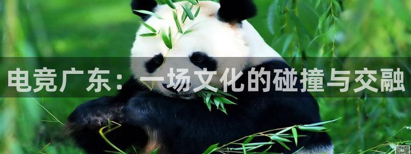 小艾电竞在线：电竞广东：一场文化的碰撞与交融