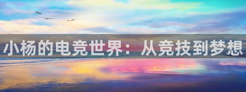 小艾电竞下载：小杨的电竞世界：从竞技到梦想