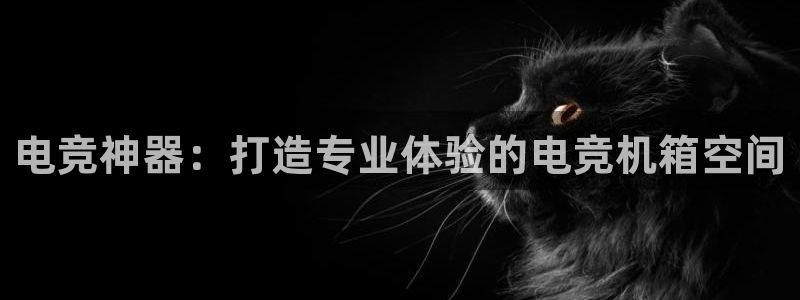 小艾电竞场馆平台：电竞神器：打造专业体验的电竞机箱空间