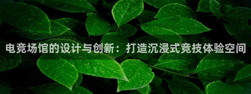 小艾电竞最新版本下载：电竞场馆的设计与创新：打造沉浸式竞技体验空间