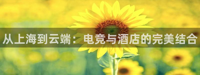 小艾电竞app：从上海到云端：电竞与酒店的完美结合