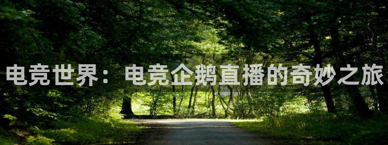 小艾电竞亚洲官网：电竞世界：电竞企鹅直播的奇妙之旅