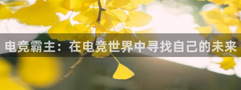 小艾电竞最新版本下载：电竞霸主：在电竞世界中寻找自己的未来