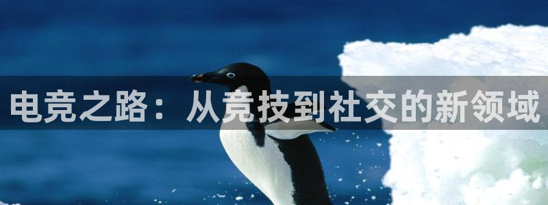 小艾电竞官网：电竞之路：从竞技到社交的新领域