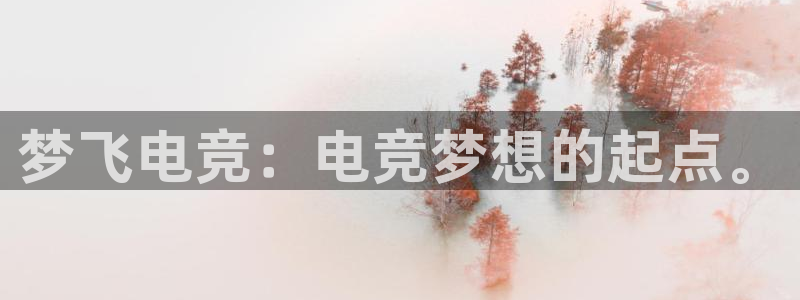 小艾电竞官网网址：梦飞电竞：电竞梦想的起点。