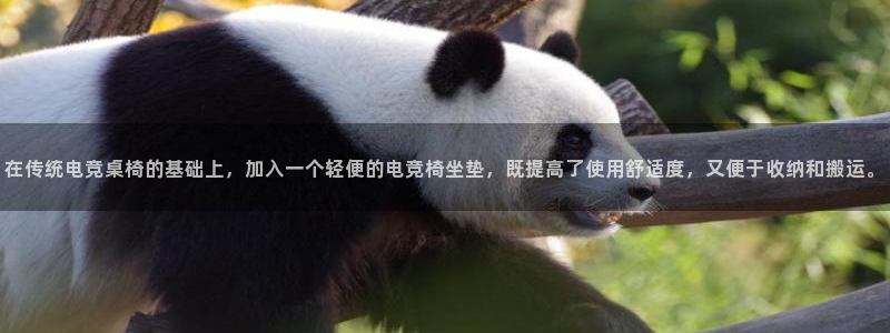 小艾电竞平台官网入口：在传统电竞桌椅的基础上，加入一个轻便的电竞椅坐垫，既提高了使用舒适度，又便于收纳和搬运。