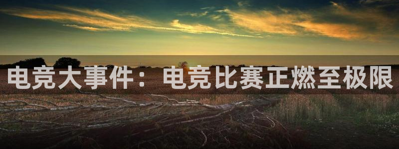 小艾电竞平台官网入口：电竞大事件：电竞比赛正燃至极限