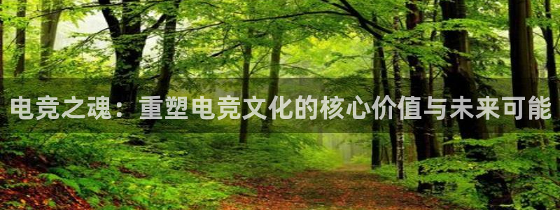 小艾电竞官网：电竞之魂：重塑电竞文化的核心价值与未来可能