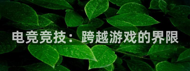 小艾电竞亚洲官网：电竞竞技：跨越游戏的界限