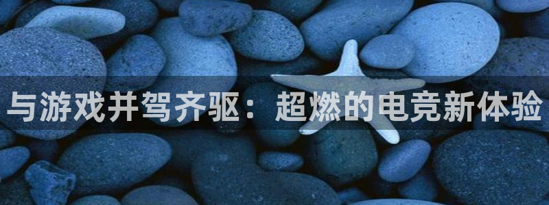 小艾电竞平台官方网：与游戏并驾齐驱：超燃的电竞新体验
